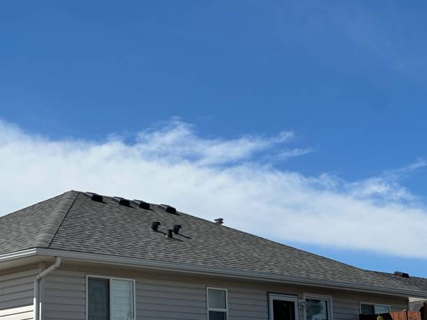 Best Roof Leak Repair  in Gwinn, MI